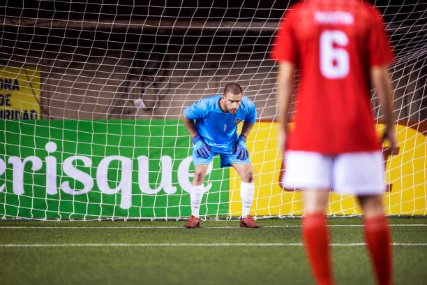 阶段提供了 阶段提供了